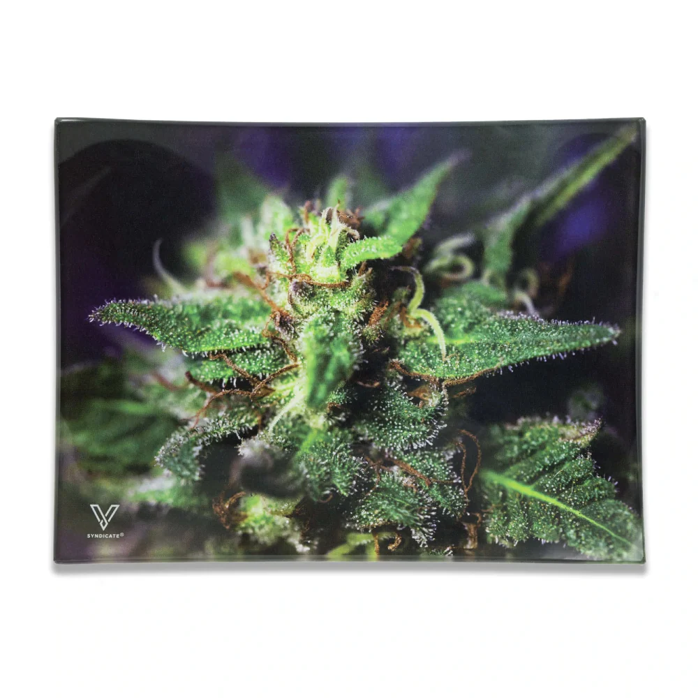 SYNDICTAE V - MEDIUM GLASS ROLLING TRAY - Image 3