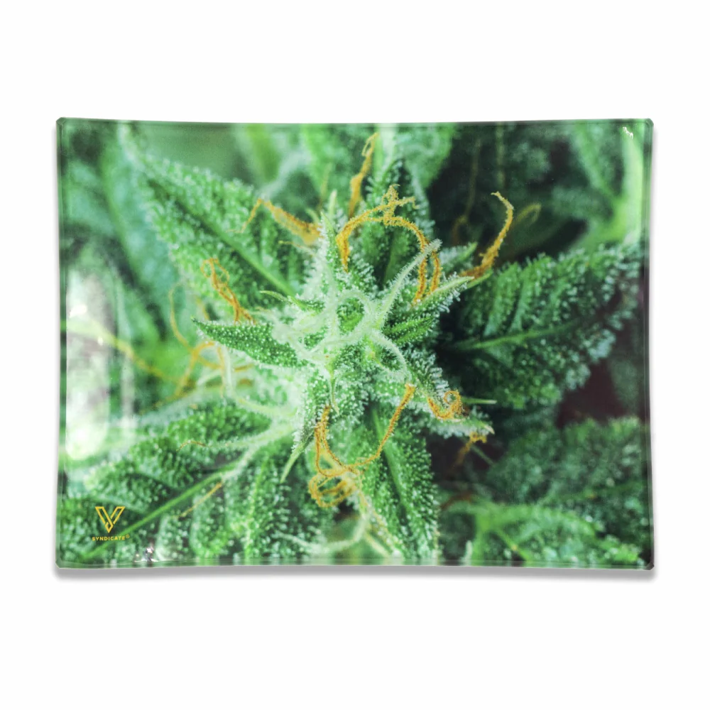 SYNDICTAE V - MEDIUM GLASS ROLLING TRAY - Image 4